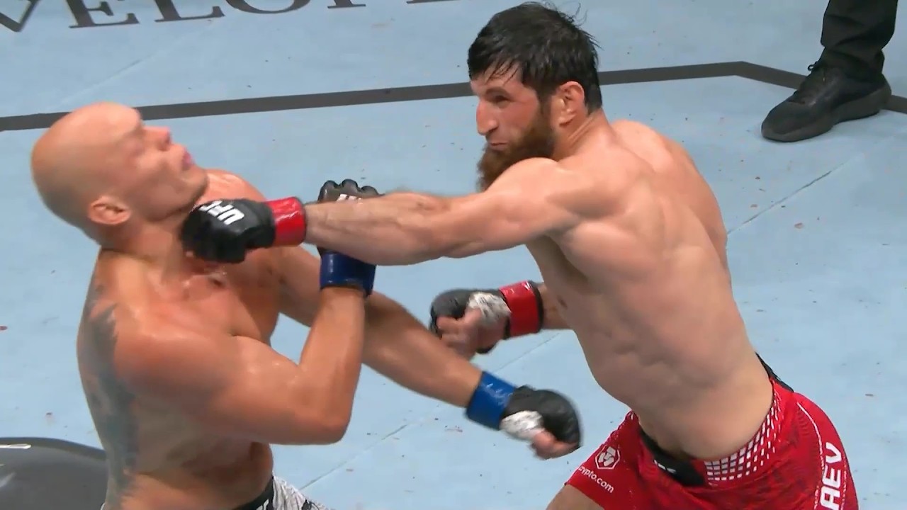 Лучшие моменты турнира UFC Абу-Даби: Анкалаев vs Гуськов