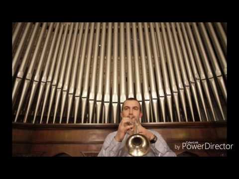 J.W. Hertel (1727.-1789.): Concerto No.3 in D major