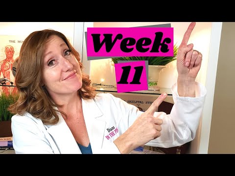 Baby Ultrasound Week 11, Plus Baby Development and Pregnancy Symptoms