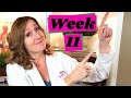 Baby Ultrasound Week 11 Plus Baby Development And Pregnancy Symptoms