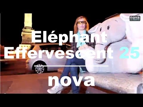 L'Eléphant Effervescent - Episode 25 • Nova