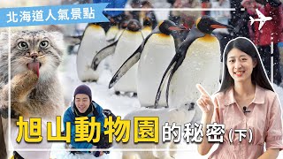 (下)北海道 動物園｜最受歡迎動物園，北海道人氣景點，旭山動物園的秘密。如何成為日本最受歡迎的動物園！旭山動物園全解析--下集  #北海道 景點 #日本動物園 #兔猻  最受歡迎動物園