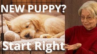 Just Brought Home a New Puppy? Start Your Puppy Off Right