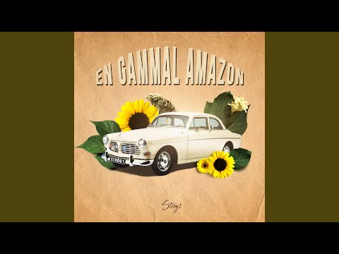En gammal Amazon