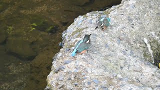 なかよし兄弟？