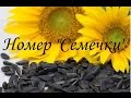 Номер "Семечки" 