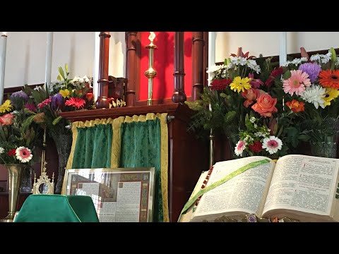 Traditional Latin Mass Sunday 5th July 2020 at St Anne’s - 5th Sunday after Pentecost