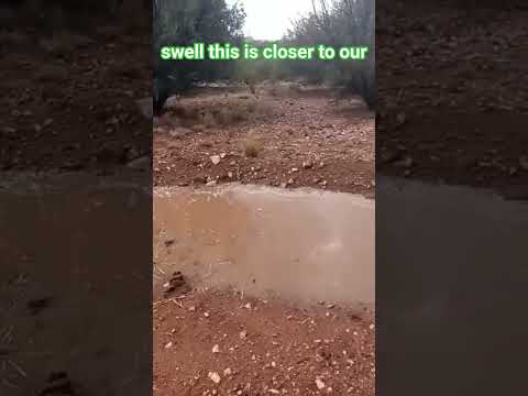 Unwanted Water? We're Harvesting It!