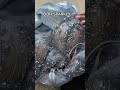 Bought My Formal Dress From AliExpress Fashion Formaldress Aliexpress Aliexpressfinds