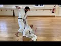 Meikyo Bunkai