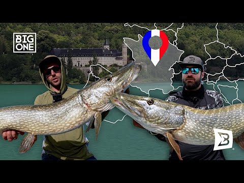 Tony's Power and BlackBay Fishing