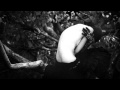 Falling Leaves - Memories Will Never Fade 