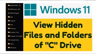 How to View Hidden Files and Folders of  C  Drive in Windows 11