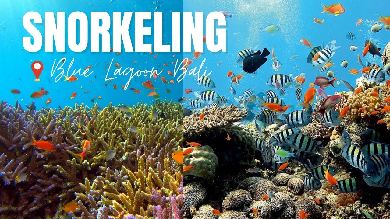 Experience snorkeling adventure in the turquoise waters of Blue Lagoon Beach.