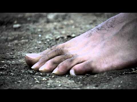 This generation helping the next: Tai Chi Leaders