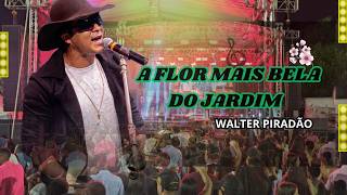 TEST 1 DVD WALTER PIRADÃO FORROZÃO DE LUXO NAS COMITIVAS CHAVES E CIA VEM XOTEAR AO VIVO ..