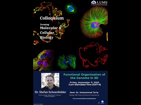 Functional organisation of the genome in 3D by Dr Stefan Schoenfelder