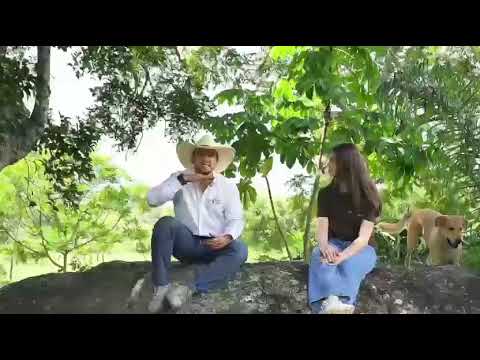 Lotes en venta en San Jerónimo Antioquia