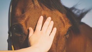 I&#39;m saying goodbye