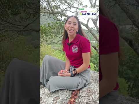 Finca Santa Cruz del Camino, Tena, Cundinamarca