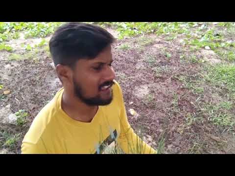 G Avinash  Jo bheji thi dua