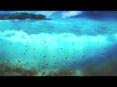 Giovanni Zamboni-Sonata IX (Sarabande & Gavotte )