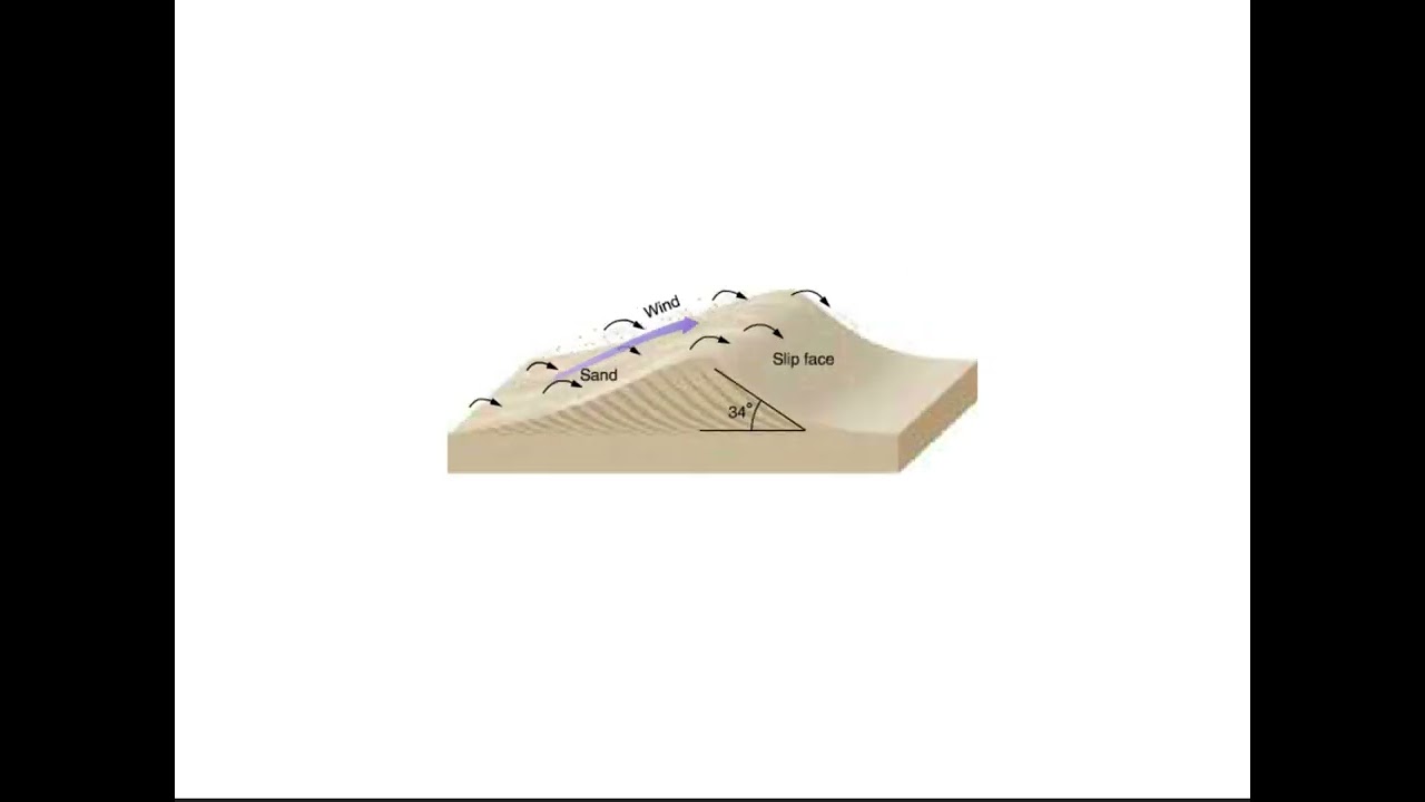 Sand Dune Animation