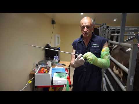 Draminski OPU Kit -  Aligning the needle bevel