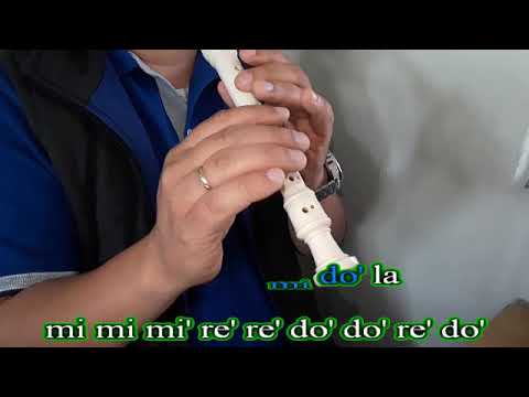 Maroon 5 - Sugar (FLUTE COVER - FLAUTA CON NOTAS)