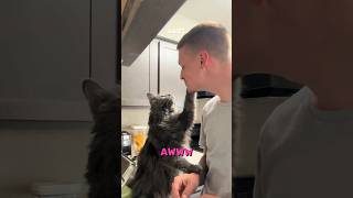 Affectionate Music Video