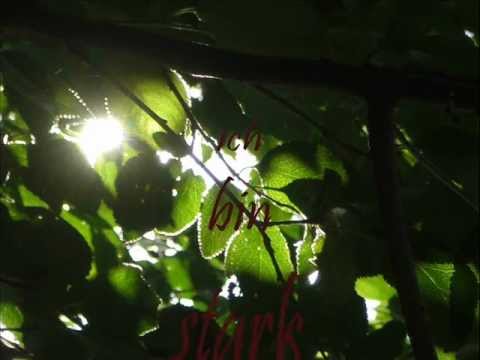 Wolfsheim - The sparrows and the nightingales 2012