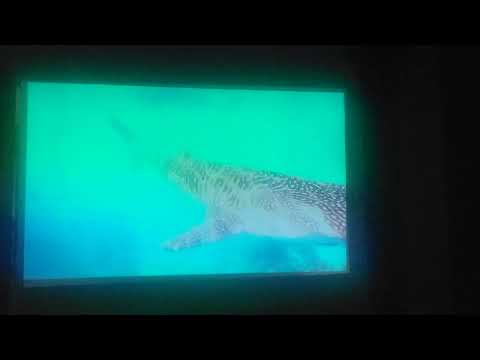 xelectron screen vankyo burger 101mini  projector review