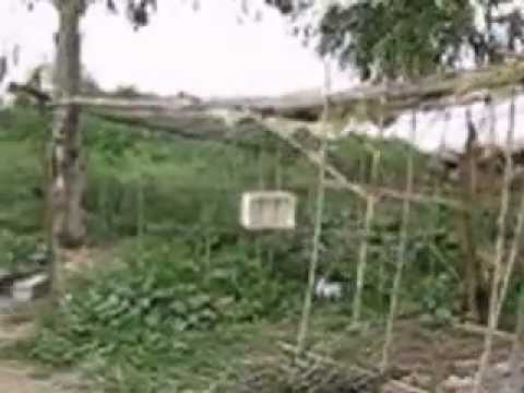 جولة داخل السرية الثالثة في منطقة عابدين بعد السيطرة علها من قبل لواء معاوية بن أبي سفيان