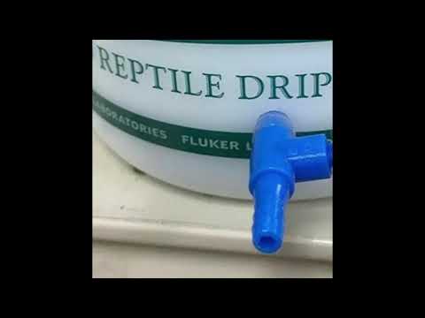 Diamondsonmydick - I Don't Write But Ima Paint Her Face (prod. DullXX)