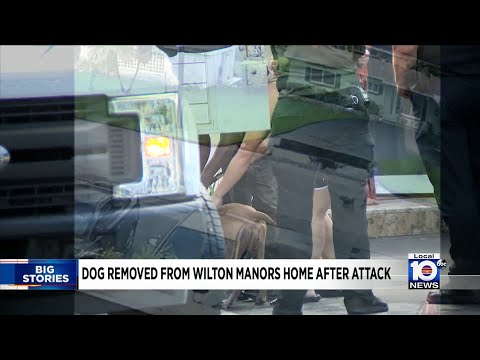 Local 10 Morning News Brief 10-27-2020