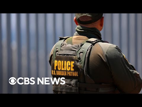 How many undocumented immigrants have left the U.S. this year?