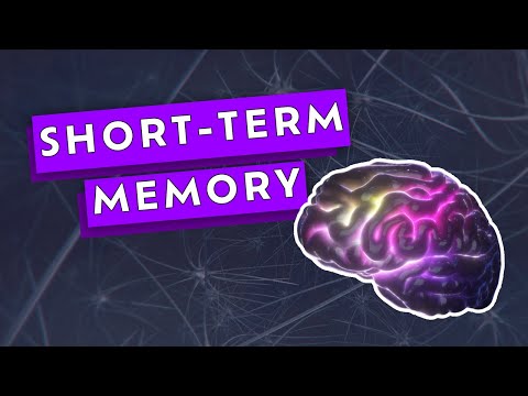ADHD and Short-Term Memory