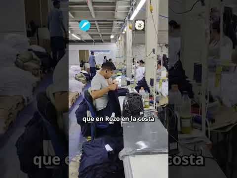 Cali produce prendas de cáñamo industrial | El País Cali