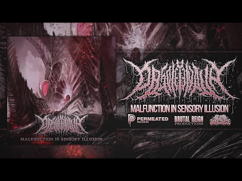 OBSOLETENOVA - MALFUNCTION IN SENSORY ILLUSION [OFFICIAL EP STREAM] (2017) SW EXCLUSIVE