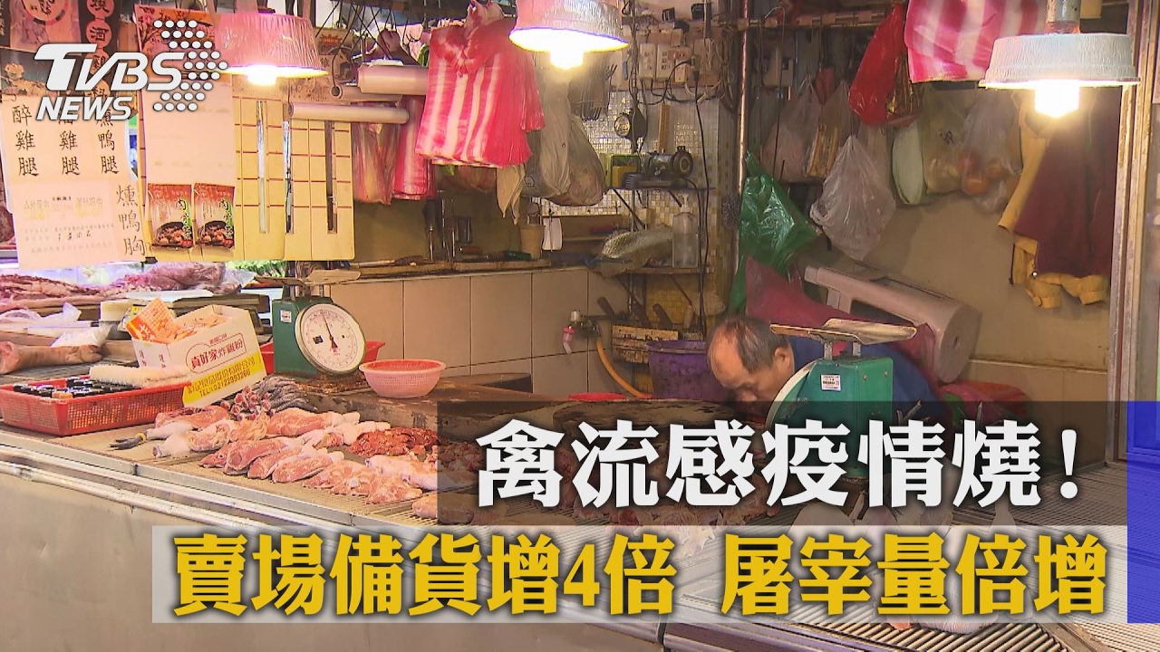 禽流感疫情燒！賣場備貨增4倍　屠宰量倍增