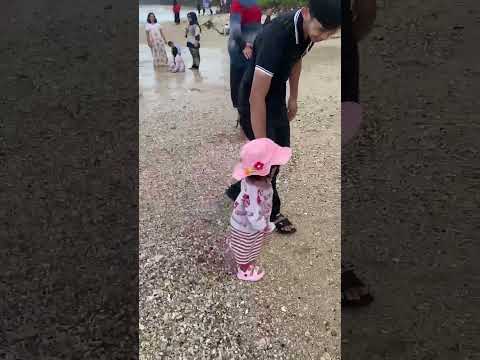 pertama kali Aninda main ke pantai. jangan lupa subscribe ya