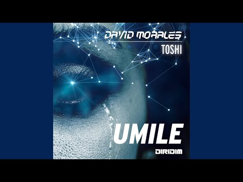 David Morales Feat.Toshi - Umile (DIRIDIM Mix)