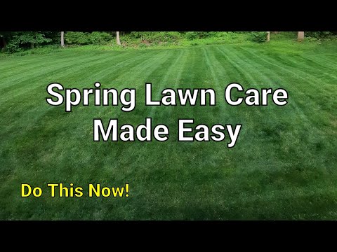 Jump Start Your Lawn This Spring