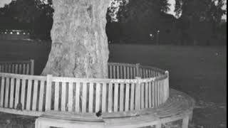 Archy Marshall - A New Place 2 Drown (Full Album)