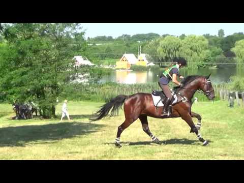Unger Patrícia - Büszke Botond - A0 - Nagykanizsa 2016