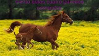 Natasha Bedingfield - wild horses subtitulada