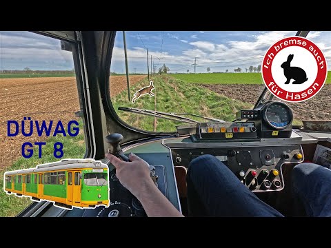 Ich bremse auch für Hasen! | DÜWAG GT 8 | Führerstandsmitfahrt im Straßenbahnmuseum