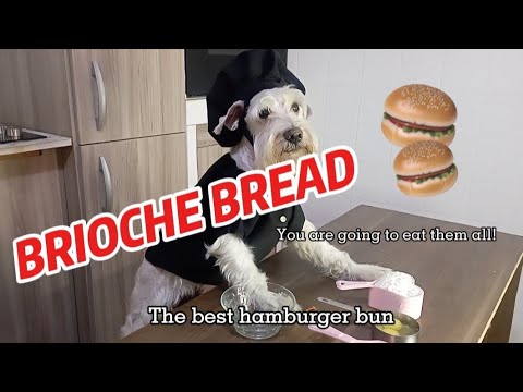 Brioche Barktastic! The Dog Chef Teaches You How to Make a Brioche Bread That Will Make You Salivate