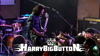 해리빅버튼 (𝐇𝐚𝐫𝐫𝐲𝐁𝐢𝐠𝐁𝐮𝐭𝐭𝐨𝐧) ✨우무지 4주년✨ @Club FreeBird • 250308