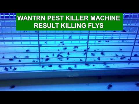 Flying Insect Killer Machine - Flying Insect Catch Zapper Latest Price ...